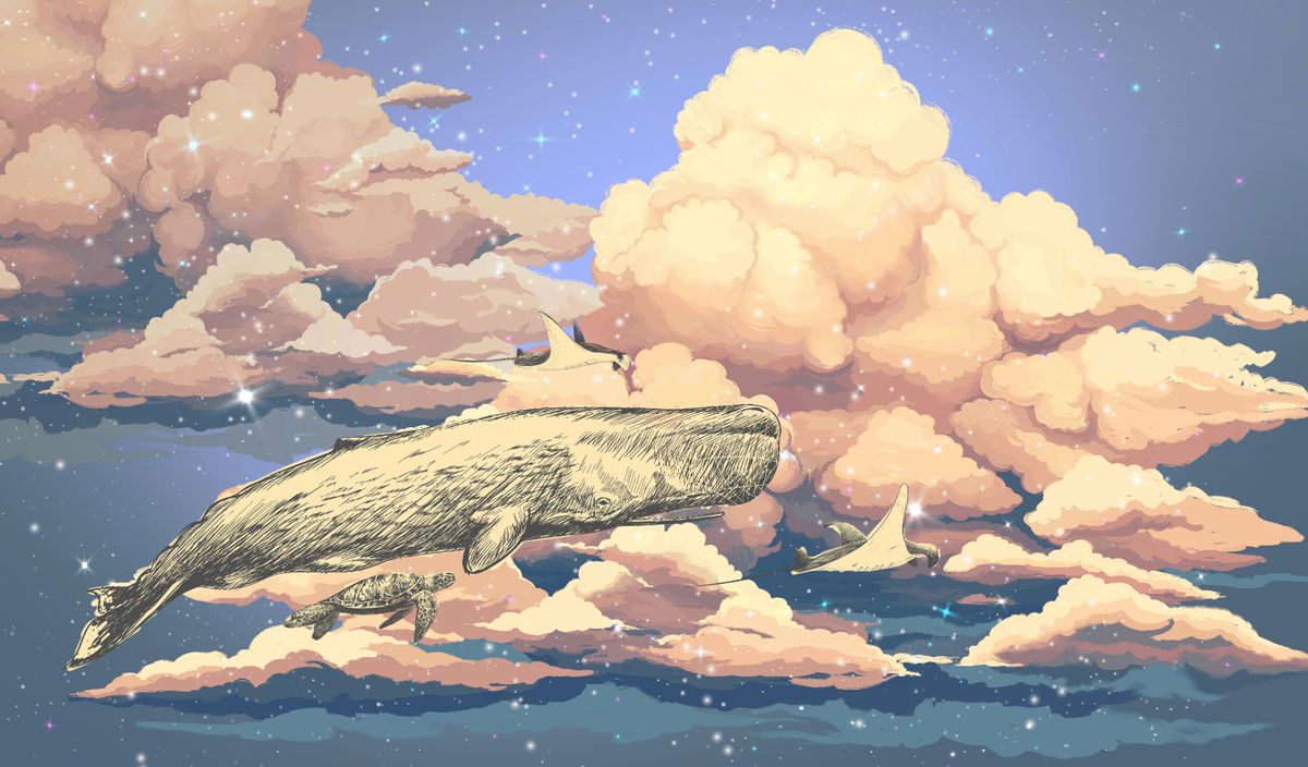 Облака 059