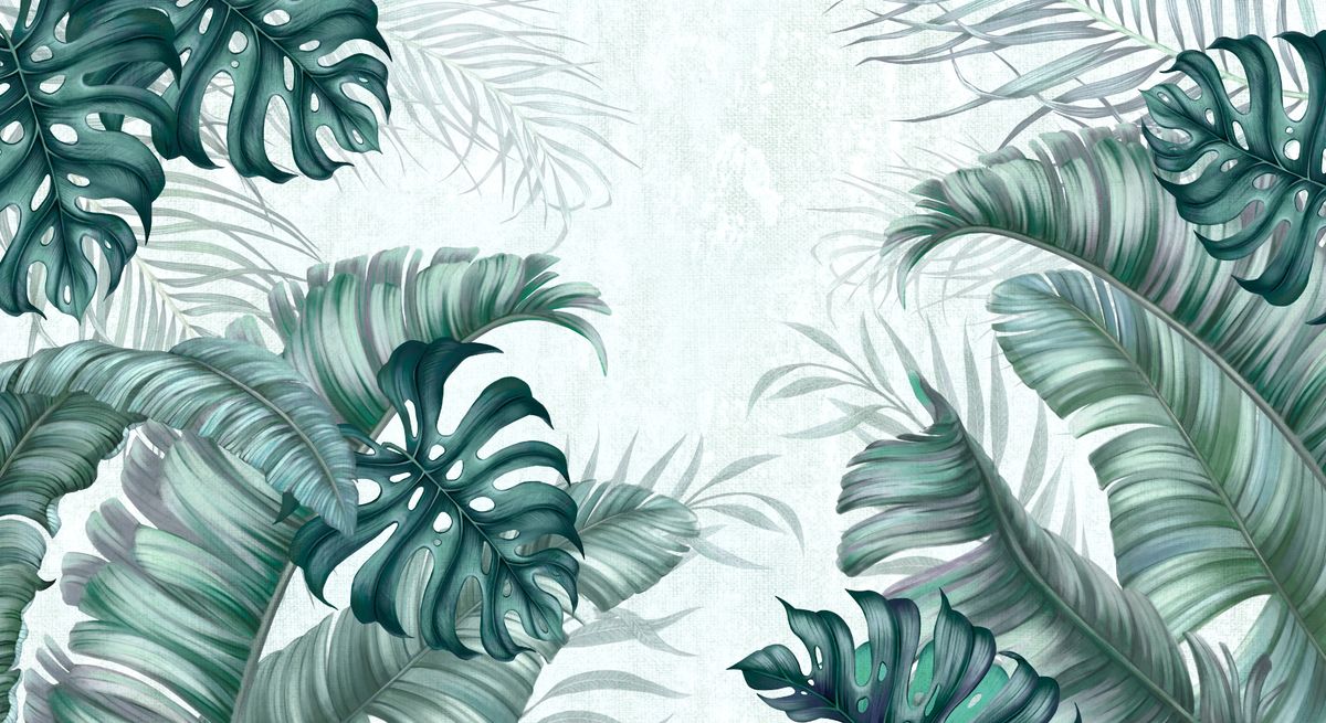 Тропики 059